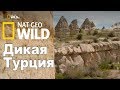 Nat Geo Wild: Дикая Турция / Turkey's Harsh Paradise