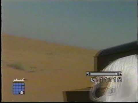 وينك وينك ميشو شو