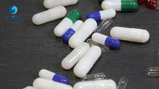 Empty Capsule Solutions Different Sizes Colors and Materials Explained