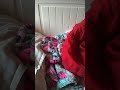 Suzie hiding in my blankets