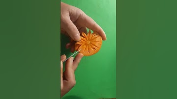 Cách Tỉa hoa CÀ RỐT với combo dụng cụ tỉa hoa #shorts