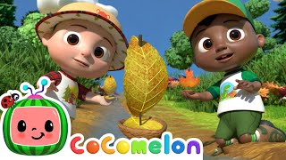 row row row stream adventure song cody cocomelon