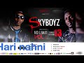 Skyboyz  hari nahni no limitmixtapevol1 2018