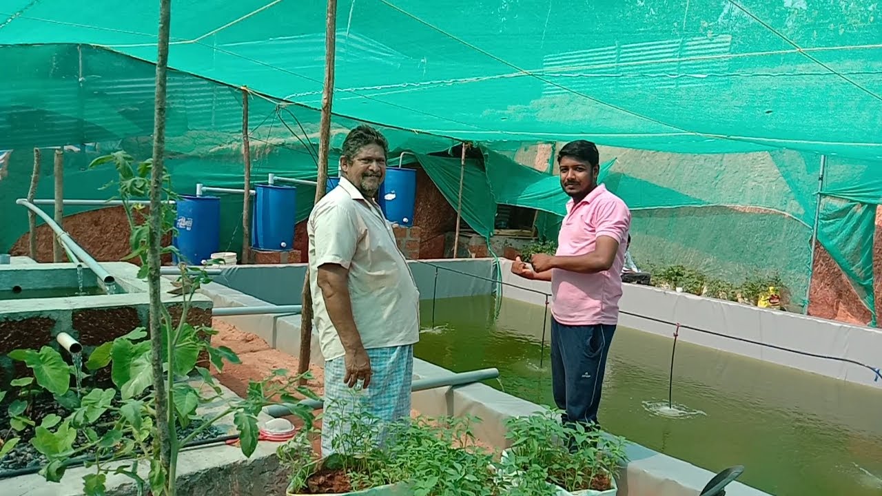 Fish farming at home