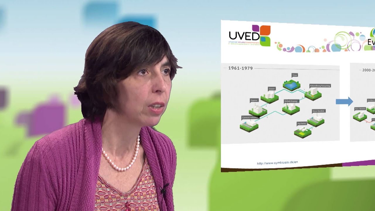 Symbioses industrielles et parcs éco-industriels : la symbiose de Kalundborg