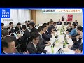 国旗損壊罪めぐり自民党PTが骨子案を了承　アニメ・AIで制作した国旗は対象外に　今国会での成立めざす｜TBS NEWS DIG