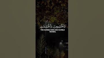 #quran #اكسبلور #المصحف #قرآن #قران_كريم #راحة_نفسية #تلاوة_خاشعة #دويتو #explore #edit #قرآن