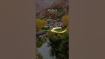 القران الكريم #اكسبلور #سورة #duet #دويتو