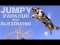 Καταπληκτικο βιντεο The Parkour Dog Alex Jumpy