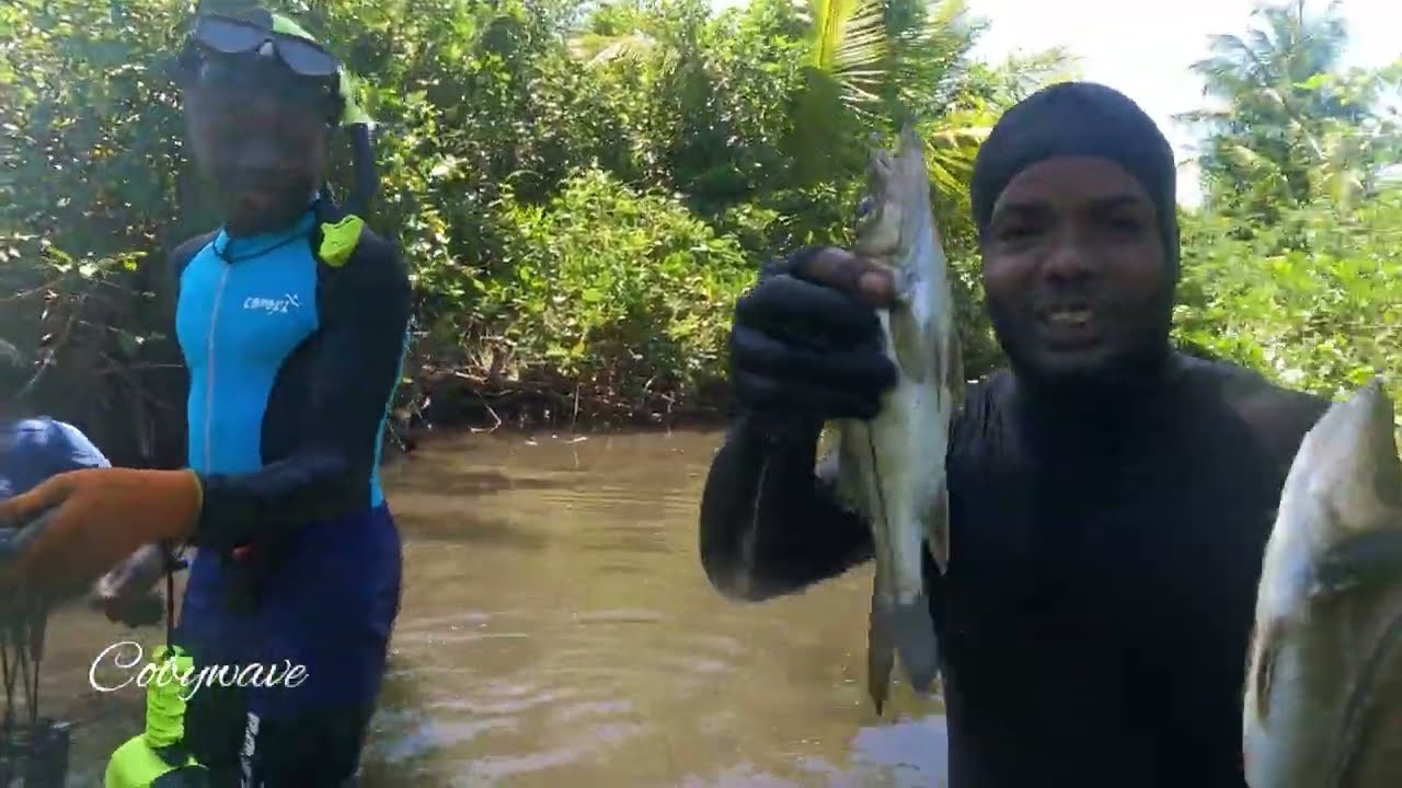 Spearfishing & net for food in crocodile infested water 😢