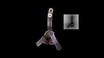 Particles conforming to Meshes - Unity3D VFX Graph