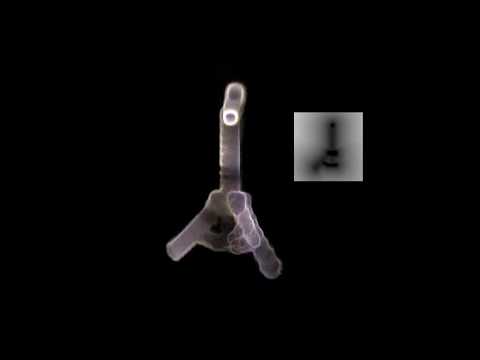 Particles conforming to Meshes - Unity3D VFX Graph