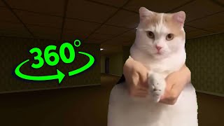 Cat Dances To Girlfriend chase you But it's 360 degree video #3