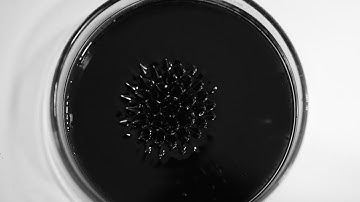 Rosensweig instability on a ferrofluid in presence of a magnet