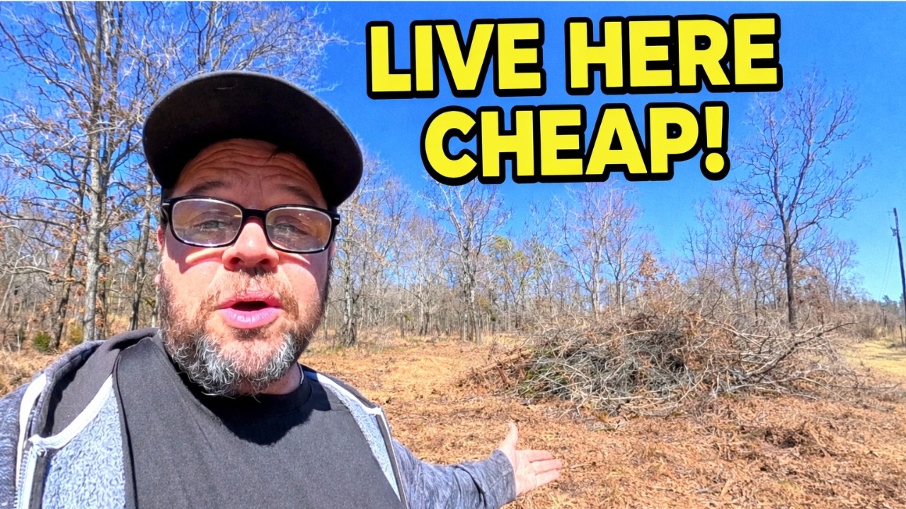Day One! I bought 2 Acres Off Grid