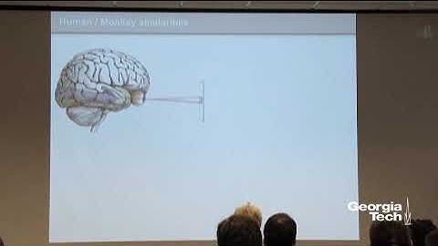 Using Artificial-Intelligence-Driven Deep Neural Networks to Uncover Brain Principles