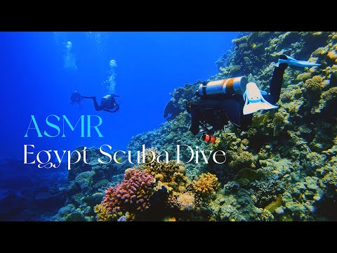 ASMR Soft Spoken Scuba Dive Adventure of Poseidon's Reef Hurghada Egypt (4K)