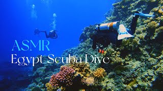 ASMR Soft Spoken Scuba Dive Adventure of Poseidon's Reef Hurghada Egypt (4K) screenshot 4