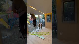 117 sq.ft smart backyard office