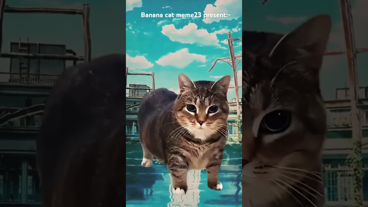 Uia uia Cat x blue by Kai || #trending #memes #viralreels #hottrending #viralnow #mypage