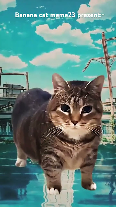 Uia uia Cat x blue by Kai || #trending #memes #viralreels #hottrending #viralnow #mypage