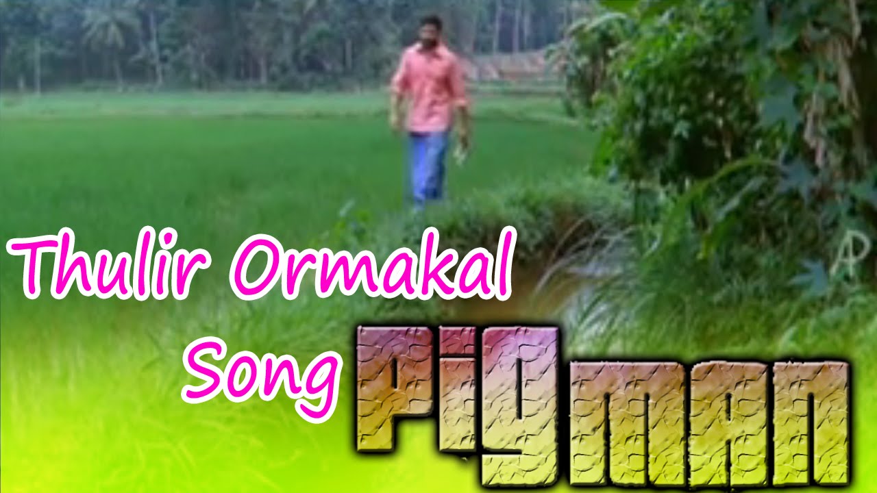 Pigman Malayalam Movie | Songs | Thulir Ormakal Song | Jayasurya | Ramya Nambeesan