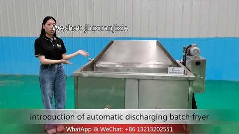 introduction and using guidance for batch fryer with automatic discharing function