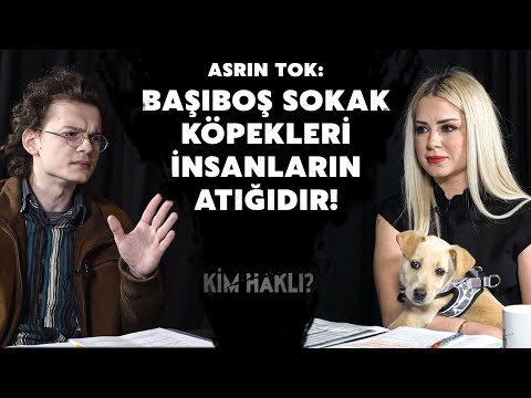 Kim Haklı | 4. Bölüm | Sokak Hayvanları | Okan Ateş | Yasemin Babayiğit - Asrın Tok