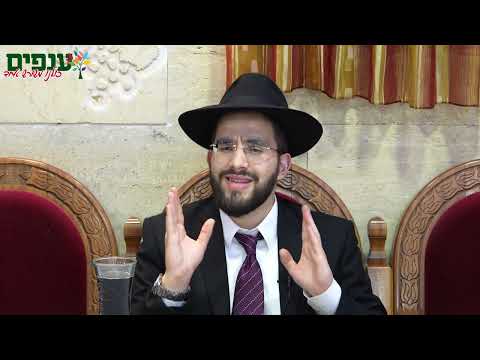 ברכת האילנות - כל הסודות והכללים | הרב נריה ברבי