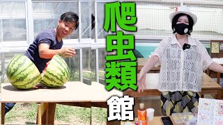 深谷爬虫類館の初イベントに生き物YouTuber大集合！！