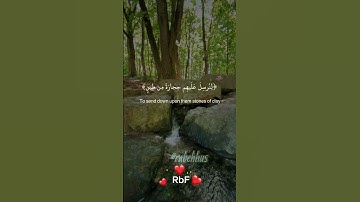 سورة الذاريات (31-37) الشيخ سعود الشريم #قران_كريم #تلاوة_خاشعة #راحة_نفسية #quran #اكسبلور #foryou