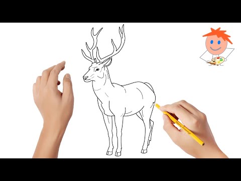 Video: Hvordan Tegne En Hjort