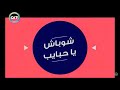 شوباش يا حبايب أصل الكلمة 