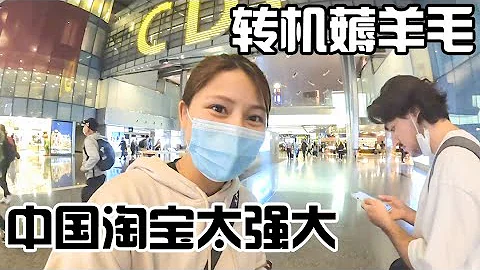 [ENG SUB] 在多哈转机如何薅羊毛，贵宾休息室随便吃喝，采访卡航中国小姐姐【张猫猫历险记】 - 天天要闻