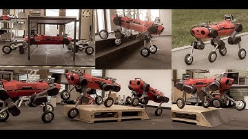 Offline motion libraries and online MPC for advanced mobility skills