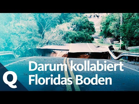 Dolinen in Florida: Wo Häuser in der Erde verschwinden | Quarks