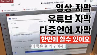 영상 자막은 무조건 vrew 브루 추천,한번에 작업으로 영상 자막 유튜브 자먹 다중언어 자막 올릴수 있어요,1년 동안 브이로그 하면서 키네마스터. 볼로. 비타 장단점도 올렸어요 screenshot 1