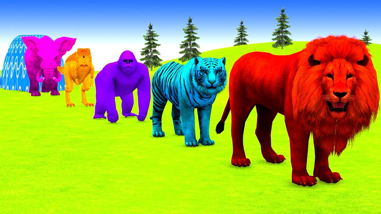 Long Slide Game With Elephant Gorilla Buffalo Hippopotamus Tiger - 3d Animal Game - Funny 3d Animals
