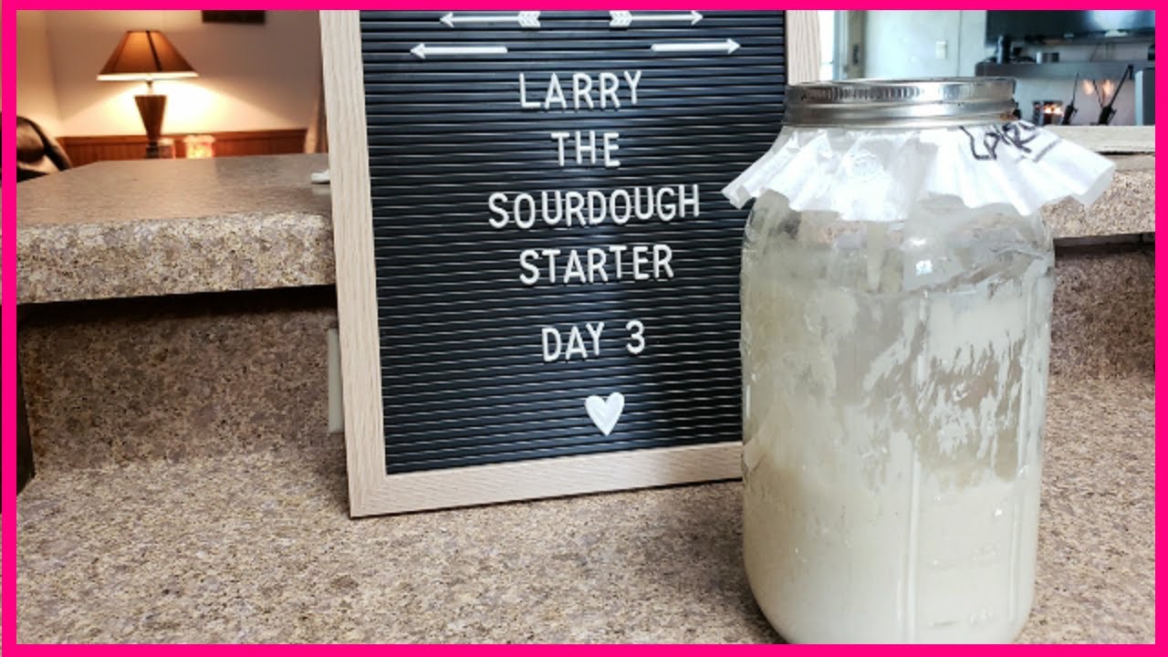 How to Make Sourdough Starter - Day 3 