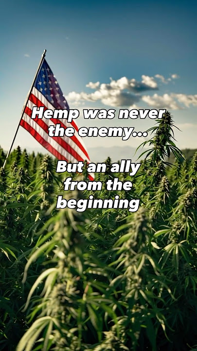 The Declaration Was Drafted on Hemp Paper? 🇺🇸