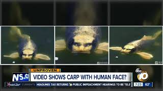 Video shows fish with human-like face? 