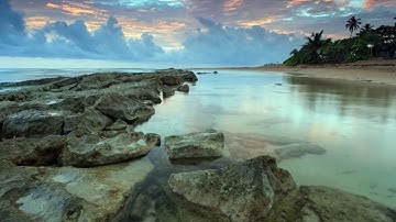 الشيخ علاء المزجاجي - سورة الملك