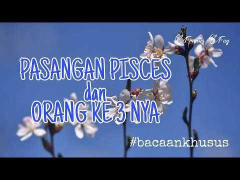 Video: Apa Yang Akan Menjadi Horoskop Cinta Pisces Untuk