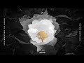 Avicii Without You Ft Sandro Cavazza Abdelkader Remix 