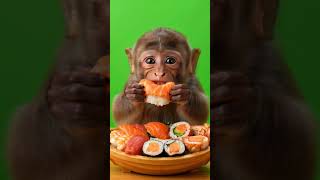 🐒 Giant Sushi Boat Challenge 🍣 #shorts #asmr #eating #monkey