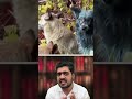 Blue Dogs Found In Chernobyl! #facts #viral #trending #shorts