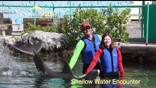 Shallow Water Encounter