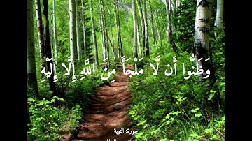 حتى إذا ضاقت عليهم الارض بما رحبت | سورة التوبة