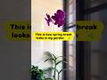 The flowers in my garden #2026 #march #spring #homegarden #indoorplant #summer garden #plantingplan