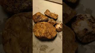 Vixen Gold! #goldmine #prospecting #naturewalks